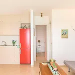 Apartment New Era Menigos 112 *